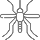 Zanzare